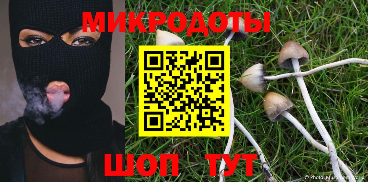 Псилоцибиновые грибы мухоморы  что такое   Моздок  Вход с VPN 